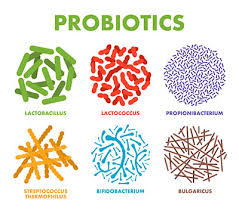 probiotic strains